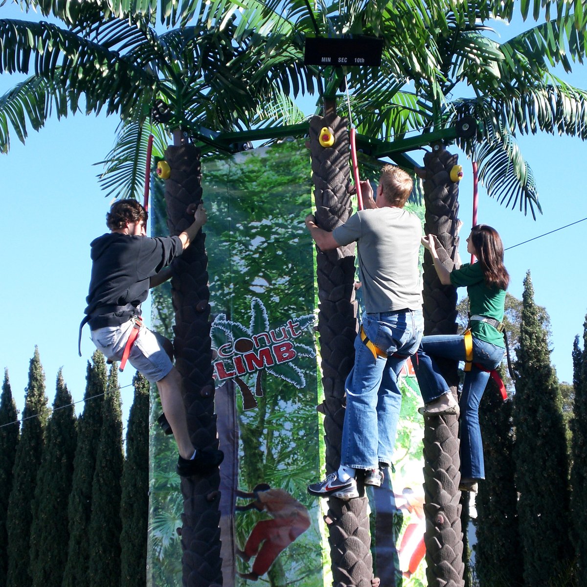Coconut Tree Climb