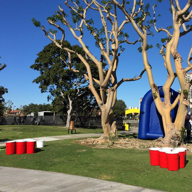 Giant Beer Pong