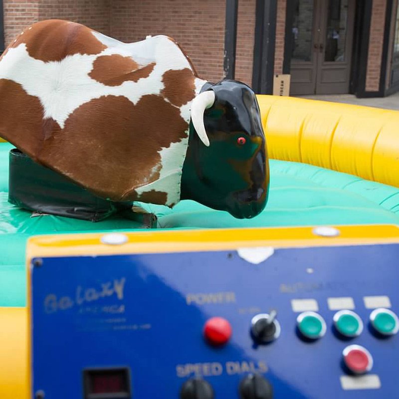 Mechanical Bull