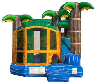 Slide Combo - Blue Tropical