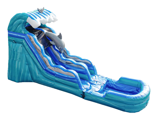 Water Slide - Dolphin
