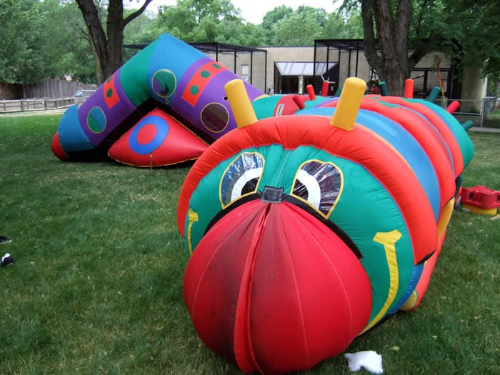 Cameron The Catterpillar